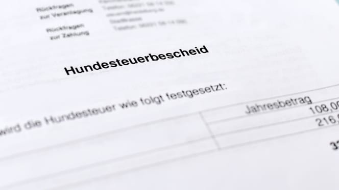 Hundesteuerbescheid