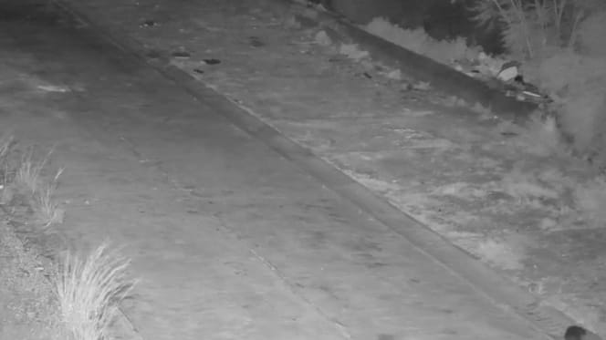 Image de surveillance