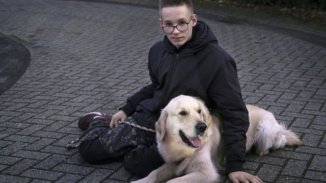 In Purmerend wordt vuurwerk gegooid naar hulphond Bumper