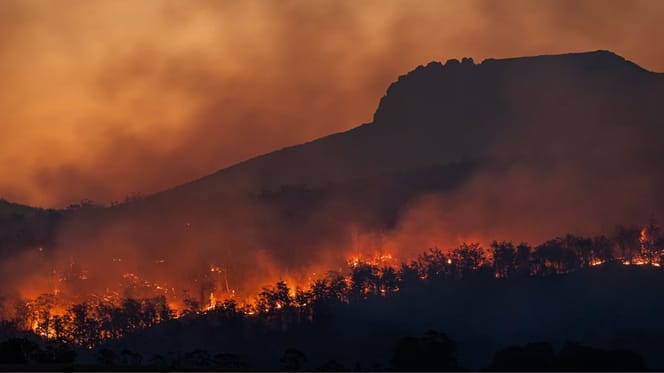 Incendies en Calabre