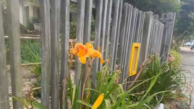 Installations jardin