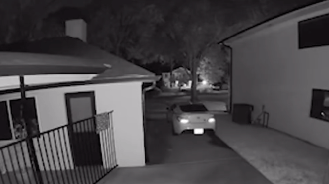 Eindringling im Garten