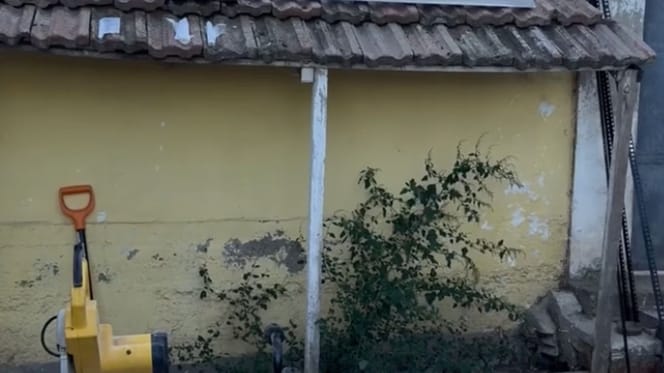 Jardín de una casa