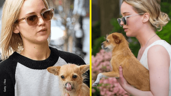 Jennifer Lowrence con il cane
