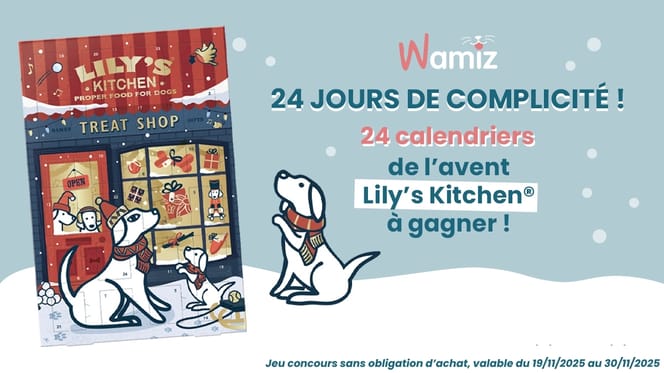 Jeu de Noël Lily's Kitchen