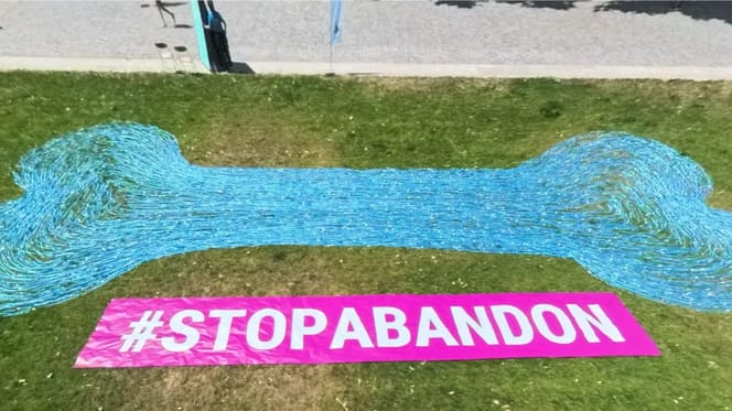 Journée abandon des animaux
