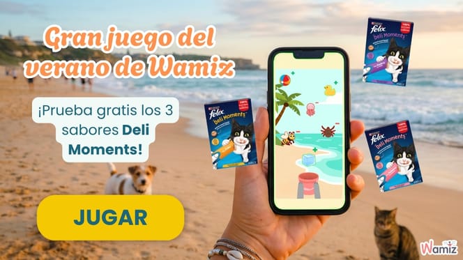 Juego del verano de Wamiz