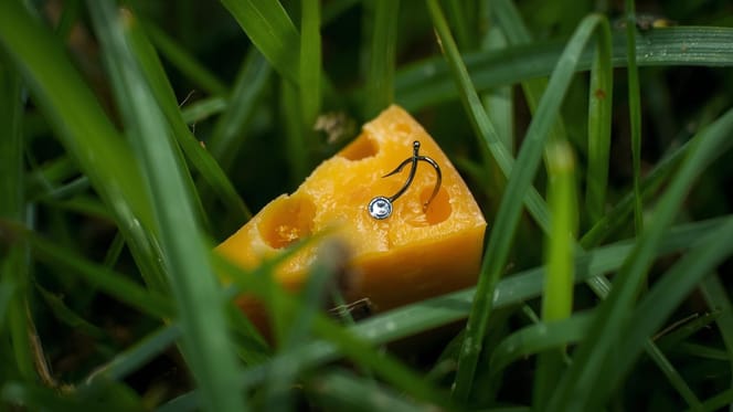 Käse im Gras mit Haken