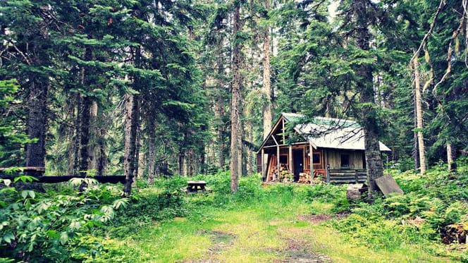 Kätzchen Rhön-Hütte