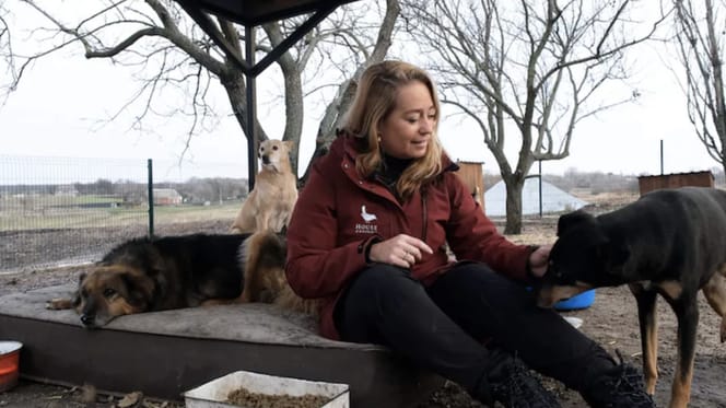 Karen gaat Oekraïnse steden af om dieren te redden