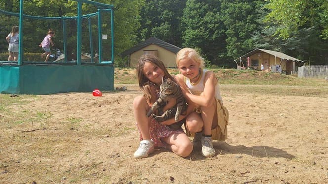 Kat Bibi reisde mee met gezin op vakantie