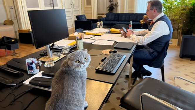 Kat Maximus de nieuwe rechterhand van Bart de Wever