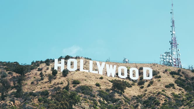 kattennamen geïnspireerd door filmsterren en hollywood