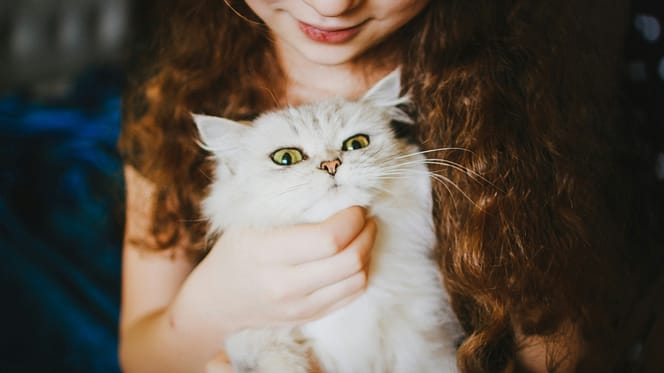 kattennamen uit kinderboeken