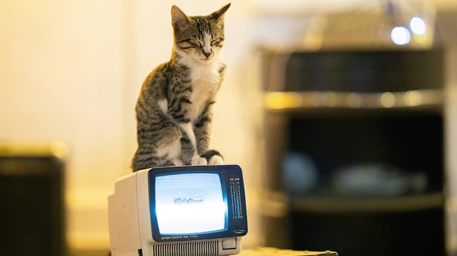 kattennamen uit tv-series