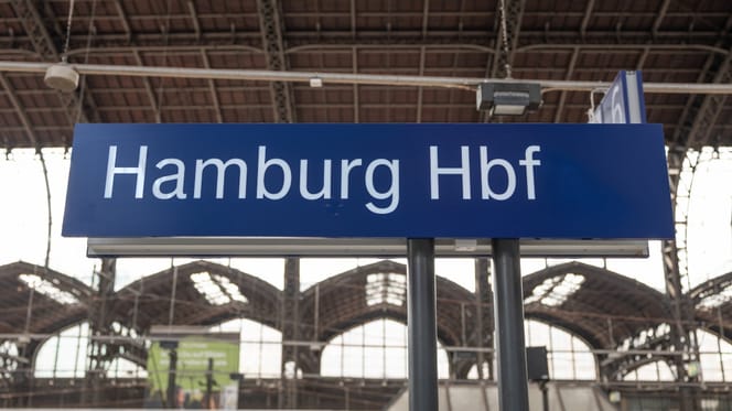 Katze fährt im Zug nach Hamburg
