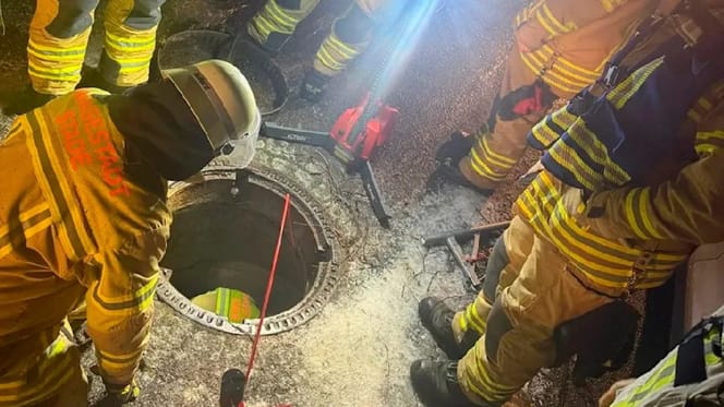 Katzenrettung in Wiepenkathen