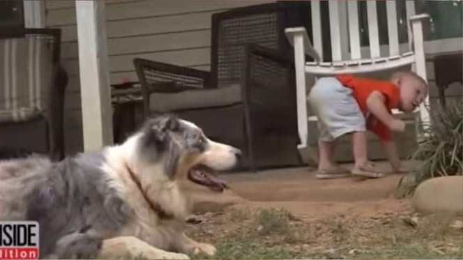 Kleinkind und Hund