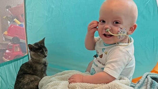 Kleinkind und Katze schauen aus dem Fenster