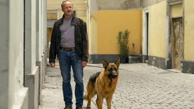 Kommissar Rex: Schäferhund Capo