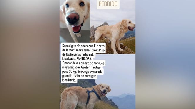 kona-perro-perdido-pirineos-panticosa