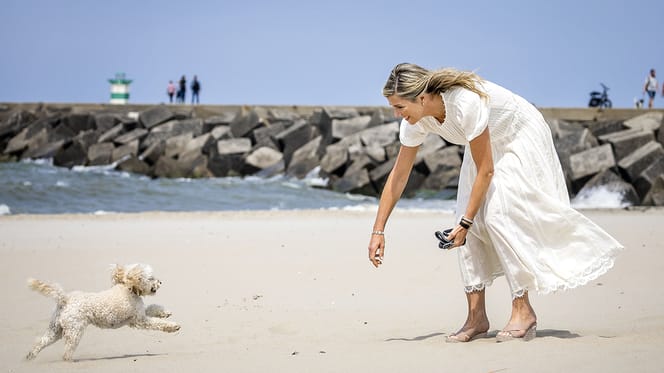 Koningin Maxima met hun Toy Poedel