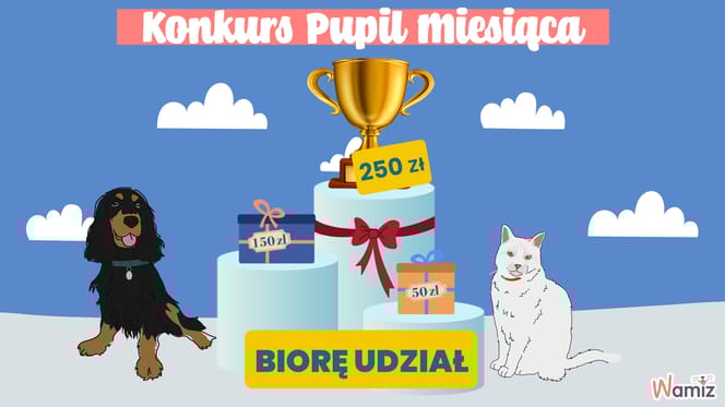 Konkurs fotograficzny Wamiz