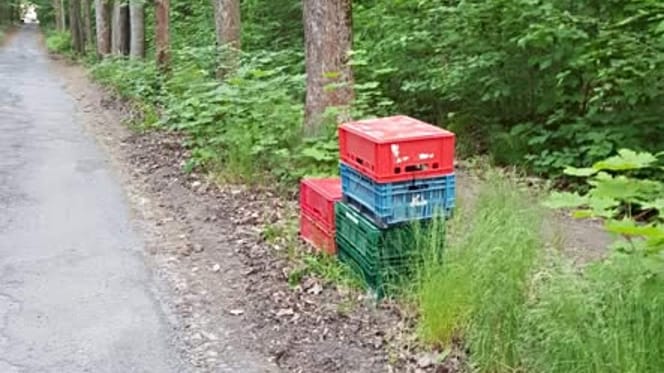 Kunststoffkisten stehen neben der Tierheim-Zufahrt