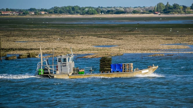 La baie d'Arcachon