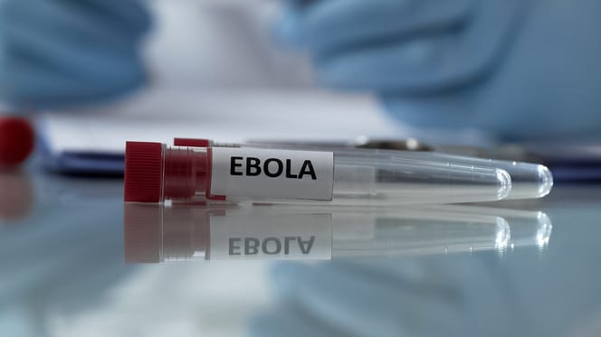 Laborröhrchen mit Aufschrift "Ebola"