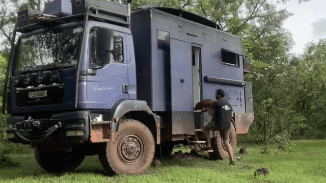 Paar bringt Hunde vor Löwenangriff in die Sicherheit ihres Lastwagens (Video)