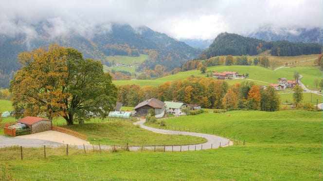 Landstraße zwischen Wiesen in Oberbayern
