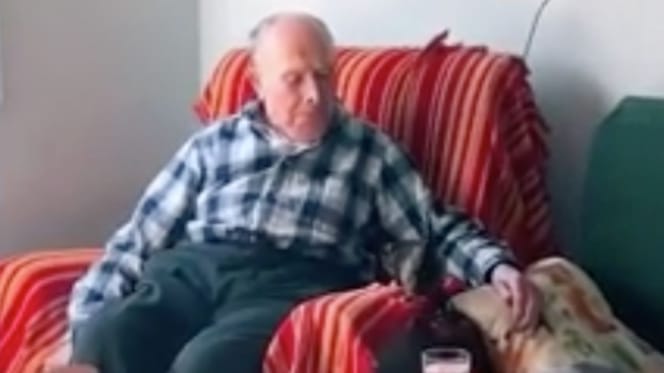 el gatito y el abuelo