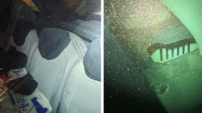 Le chien était détenu dans une voiture