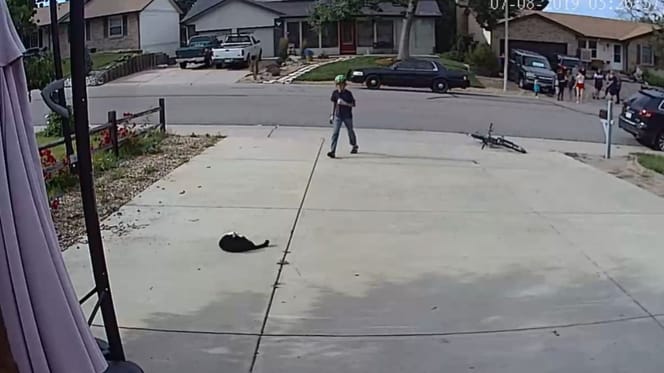 The young neighbour and the cat.