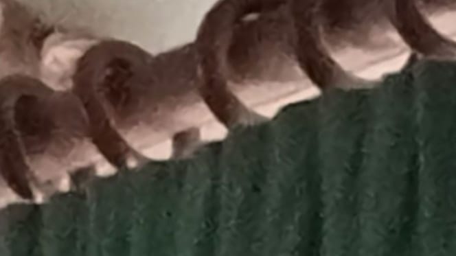 The living room curtain