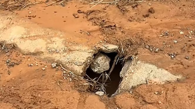 Le trou dans lequel se trouvait le chien