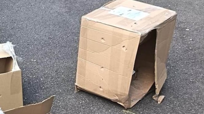 Leerer Karton mit Luftlöchern