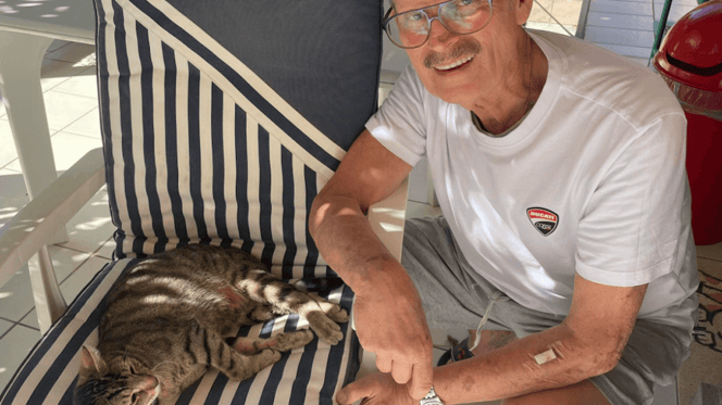 Leo il gatto scomparso