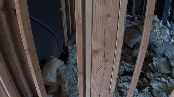 Nagrania z kamery wideo