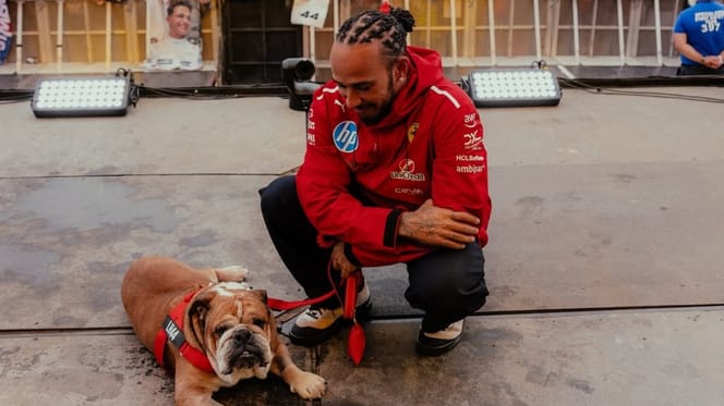 Lewis Hamilton und Hund Roscoe