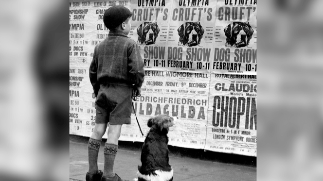 Little boy and dog looking at Crufts sign