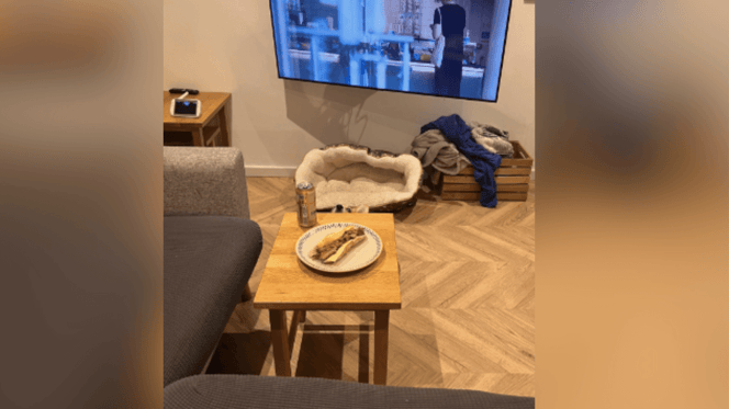 Salón con corgi escondido