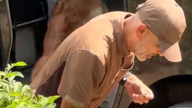 Repartidor de paquetes