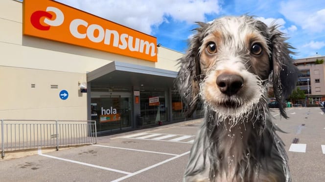 Los perros pueden entrar en Consum