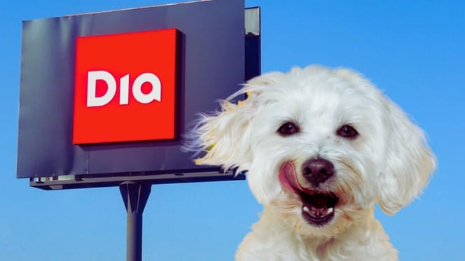¿Los perros pueden entrar en supermercados DIA?