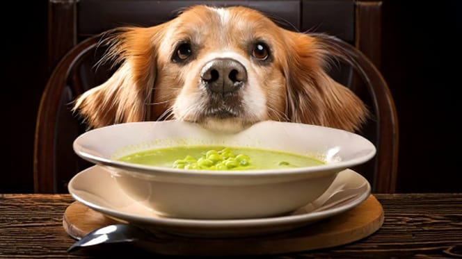 Mag een hond erwtensoep eten?
