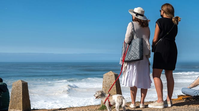 Mag mijn hond mee op vakantie naar Portugal?