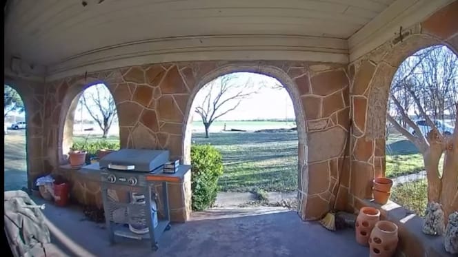 Perro en casa de su vecino