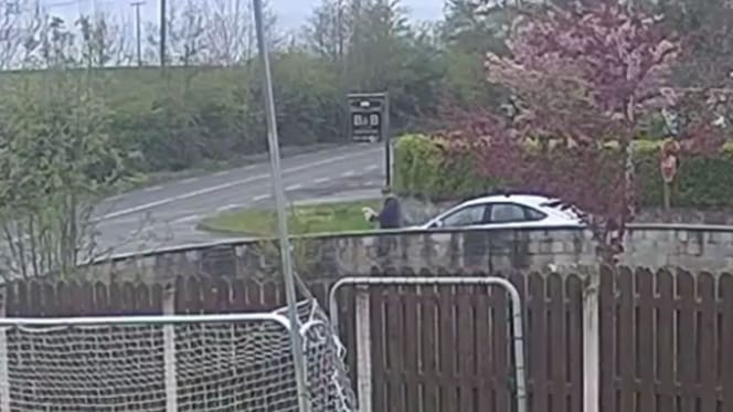 Man setzt Hund am Straßenrand aus